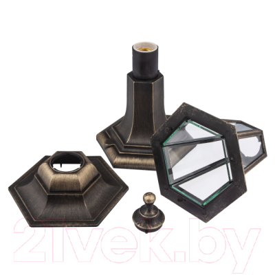 Светильник уличный ЭРА НТУ 06-60-001 / Б0048103