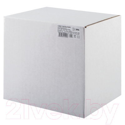 Светильник уличный ЭРА НТУ 06-60-001 / Б0048103