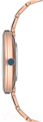 Часы наручные женские Anne Klein 2998RGRG