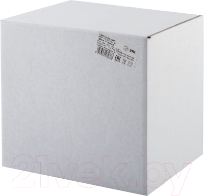 Бра уличное ЭРА Дели1 НБУ 07-40-003 / Б0051187