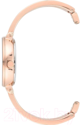 Часы наручные женские Anne Klein 3620WTST