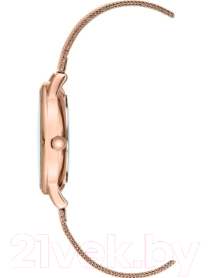 Часы наручные женские Anne Klein 3722GMRG