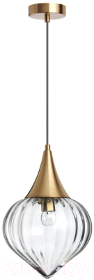 Потолочный светильник Odeon Light Kesta 4950/1 - фото