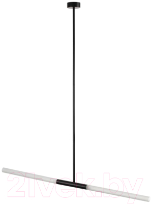 Потолочный светильник Odeon Light Soho 4307/2 - фото