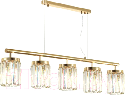 Люстра Odeon Light Light Vassa 4987/5 - фото