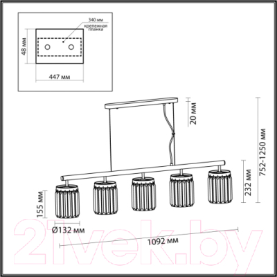 Люстра Odeon Light Light Vassa 4987/5