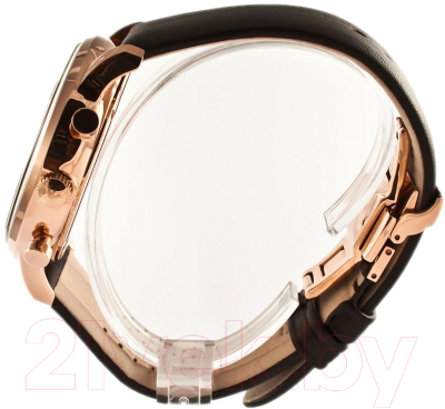 Часы наручные мужские Emporio Armani AR0387