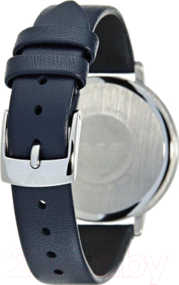 Часы наручные женские Emporio Armani AR2509