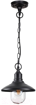 Светильник уличный Odeon Light Campa 4965/1 - фото