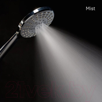 Лейка ручного душа Iddis 0605F00I19