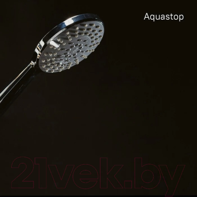 Лейка ручного душа Iddis 0605F00I19