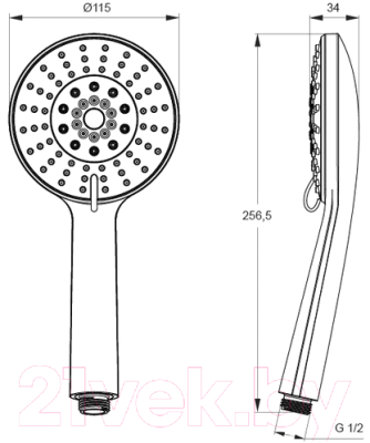 Лейка ручного душа Iddis 0605F00I19