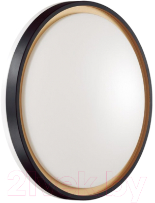 Потолочный светильник Sonex Klapa 3045/CL - фото