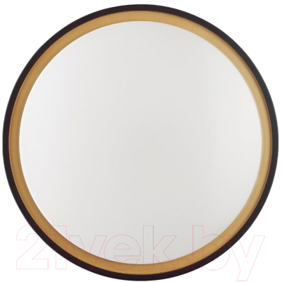 Потолочный светильник Sonex Klapa 3045/CL