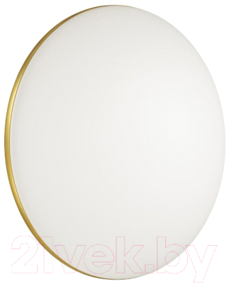 Потолочный светильник Sonex Lassa 3043/DL (белый/золотистый) - фото