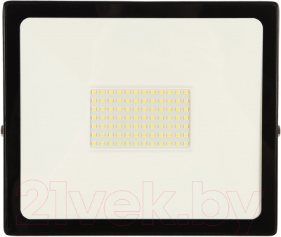 Прожектор SmartBuy SBL-FLLight-100-65K - фото