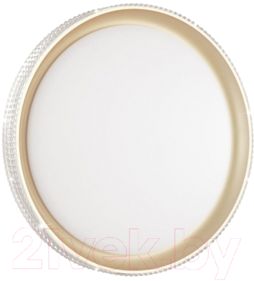 Потолочный светильник Sonex Shiny 3054/EL - фото