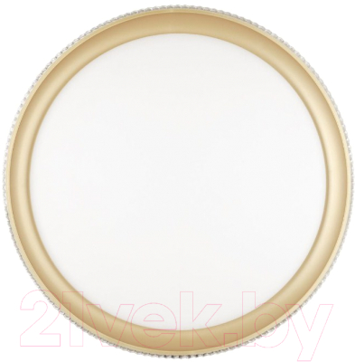 Потолочный светильник Sonex Shiny 3054/DL