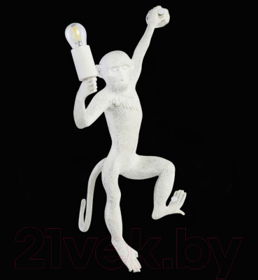 Бра Evoluce Tenato SLE115111-01