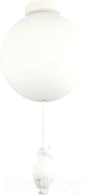 Потолочный светильник Evoluce SLE115412-01 - фото