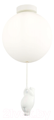 Потолочный светильник Evoluce SLE115412-01