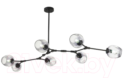 Люстра Evoluce Rametto SLE154843-07 - фото