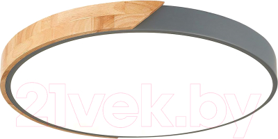 Потолочный светильник Evoluce Festa SLE200972-01 - фото