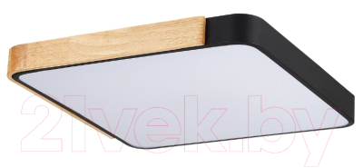 Потолочный светильник Evoluce Festa SLE201242-01 - фото