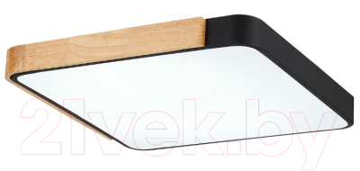 Потолочный светильник Evoluce Festa SLE201242-01