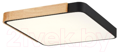 Потолочный светильник Evoluce Festa SLE201242-01