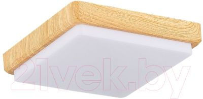 Потолочный светильник Evoluce Festa SLE201252-01 - фото