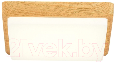 Потолочный светильник Evoluce Festa SLE201252-01