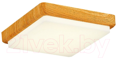 Потолочный светильник Evoluce Festa SLE201252-01