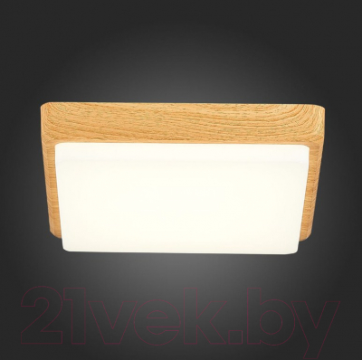 Потолочный светильник Evoluce Festa SLE201252-01