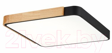 Потолочный светильник Evoluce Festa SLE201272-01 - фото