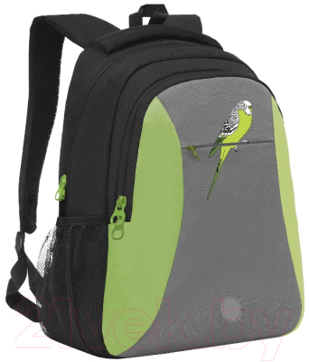 Рюкзак Grizzly RD-242-4 - фото