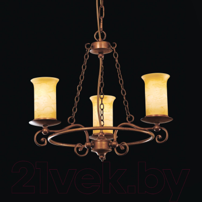 Люстра Evoluce Ancora SL122.303.03