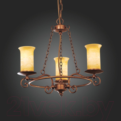 Люстра Evoluce Ancora SL122.303.03