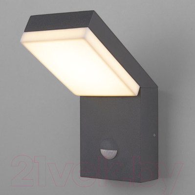 Бра уличное Elektrostandard Techno LED 1541 - фото