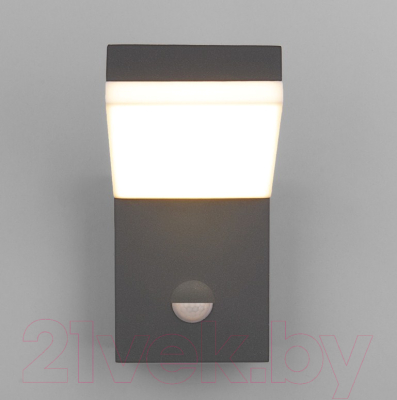 Бра уличное Elektrostandard Techno LED 1541