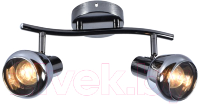 Потолочный светильник Mirastyle MX-5960/2 PBK - фото