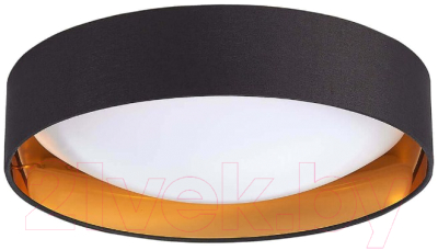 Потолочный светильник Evoluce Orbio SLE201102-01 - фото