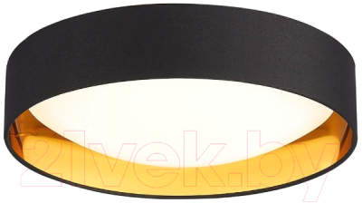 Потолочный светильник Evoluce Orbio SLE201102-01