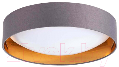 Потолочный светильник Evoluce Orbio SLE201112-01 - фото