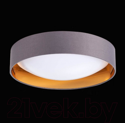 Потолочный светильник Evoluce Orbio SLE201112-01
