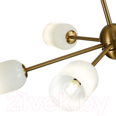 Люстра ST Luce Treviso SL1180.202.06