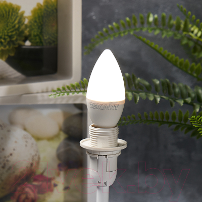 Лампа Rexant 604-018