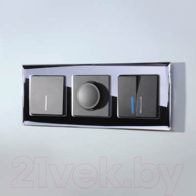 Рамка для выключателей и розеток Werkel W0031208 / a051446