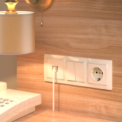 Рамка для выключателей и розеток Werkel W0032003 / a051296