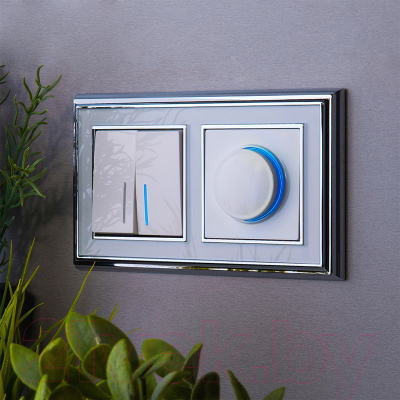 Выключатель Werkel W1122101 / a051112